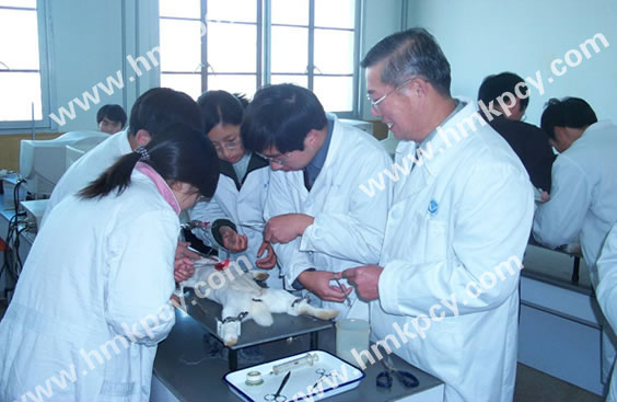 楊鳴澤和中國中醫(yī)科學(xué)院專家一起參加動物實(shí)驗(yàn).jpg